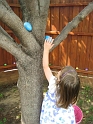 Kids_EasterEggHunt-2011 (5)